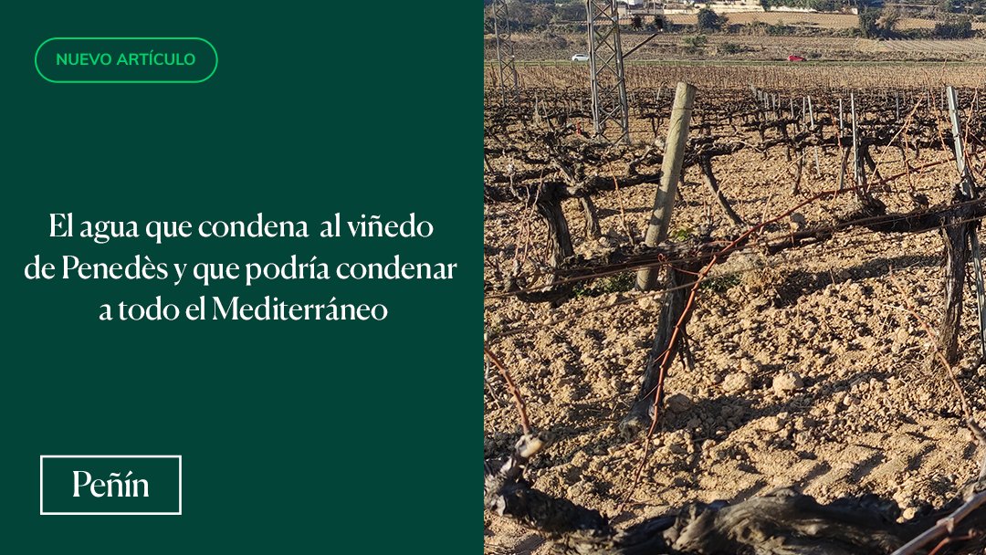Guía Peñín (@guiapenin) on Twitter photo <a href="/JavierLuengoM/">Javier Luengo Macián</a> ha dedicado un artículo para hablarnos sobre la grave crisis hídrica⚠️💧 a la que se está enfrentando Cataluña, la cual está afectando especialmente a la ganadería y agricultura. Puedes leerlo en el siguiente enlace:
➡️guiapenin.wine/magazine-flash… <a href="/JavierLuengoM/">Javier Luengo Macián</a> ha dedicado un artículo para hablarnos sobre la grave crisis hídrica⚠️💧 a la que se está enfrentando Cataluña, la cual está afectando especialmente a la ganadería y agricultura. Puedes leerlo en el siguiente enlace:
➡️guiapenin.wine/magazine-flash…