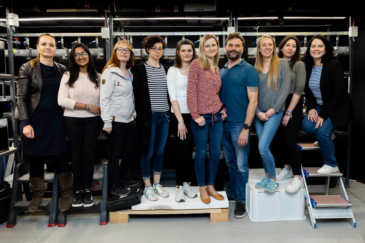 Tak! #NCNtotlen! To dzięki <a href="/NCN_PL/">Narodowe Centrum Nauki</a> mam przywilej prowadzić Zespół naukowy realizujący badania wyróżniające nas na arenie międzynarodowej! I mimo całego trudu chcemy robić to dalej! Jako Zespół! Ale bez #NCN to się po prostu nie uda... CC: <a href="/wieczorekdarek/">Dariusz Wieczorek</a> 
#ReproDevoFish