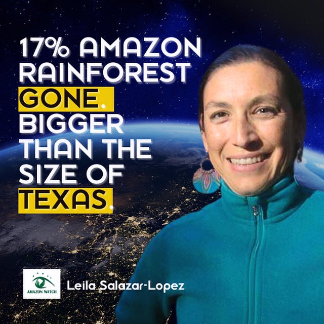 GoodViralOrg's tweet photo. 🌳🔥 17% of the Amazon Rainforest is gone - that’s larger than the state of Texas, USA! 

Learn more as we interview Leila Salazar-Lopez, the Executive Director at @amazonwatch , on our latest podcast episode. 🎙️🎙️🎙️—> https://t.co/IbQTqqOo1P

#GoodViral #AmazonWatch #deforest https://t.co/2TiCeeVVtu