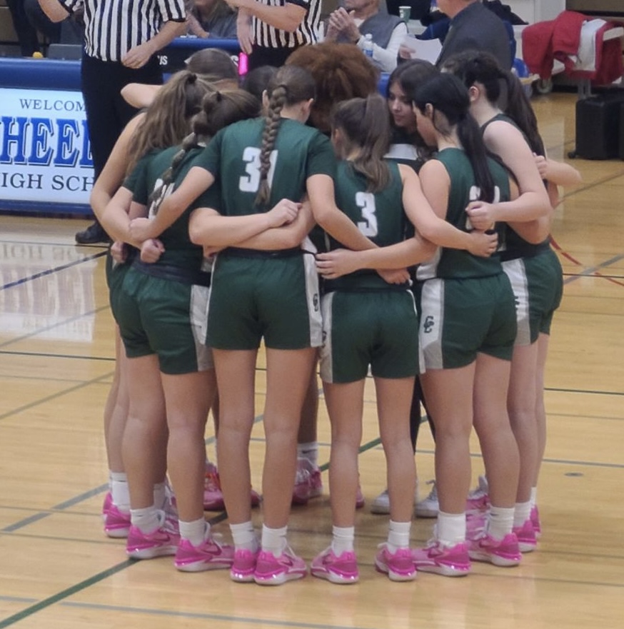 Top Performers from last night's game:
<a href="/mhoffmannnn/">Madison Hoffmann</a> 17pts, 12 rebounds, 6 assists, 6 steals and 3 blocks.
<a href="/mosey_drevline/">Mosey Drevline</a> 12pts, 2 rebounds and 4 assists
<a href="/KatelynMarcela1/">Katelyn Marcelain</a> 10pts and 6 rebounds
A great job by the entire team to finish the NLCC season at 14-0.  #PridePassionTeam