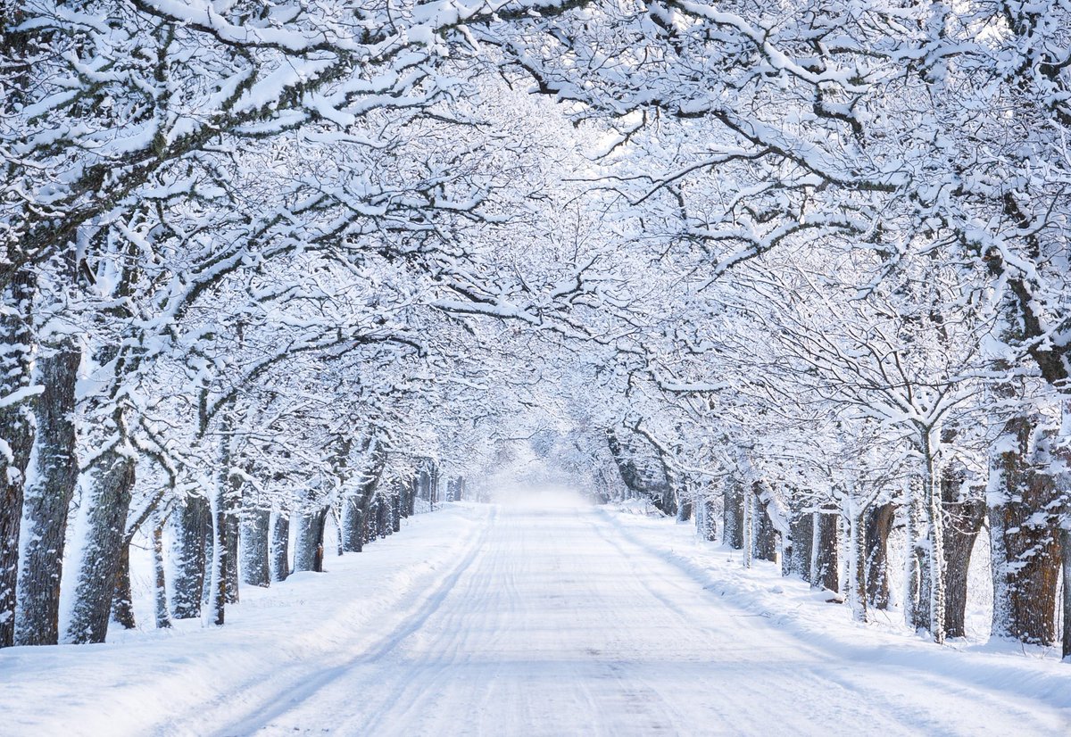 SNOW ❄️ UPDATE | We are closely monitoring the snow situation over night and will update again early in the morning. Please stay safe and warm.