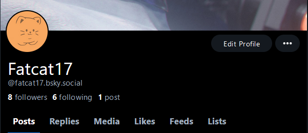 Fatcat17 tweet media