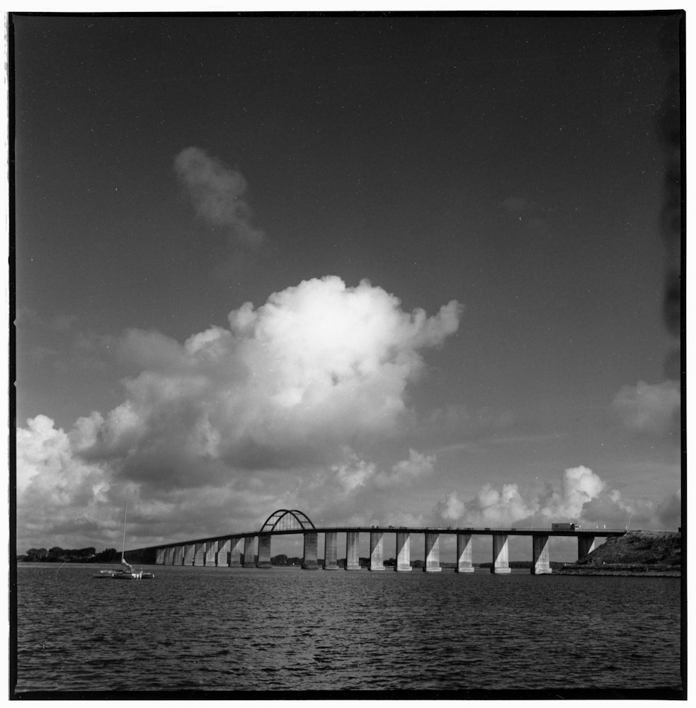 Nickfredhune's tweet photo. Hi film people. 
I've started noticing these weird things on the right side of my photos. 
Any clue what it could be? 
#film #filmsnotdead #filmcommunity #hasselblad500cm https://t.co/HM73Rol1Ew