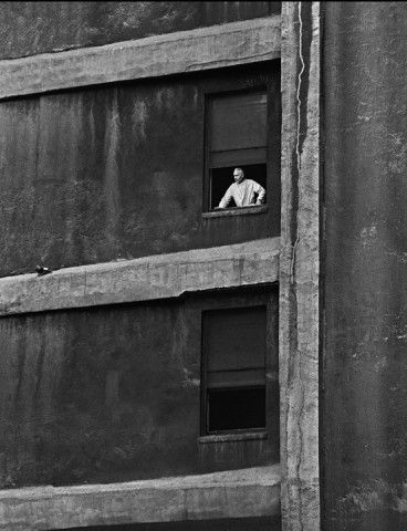 "El mundo no puede cambiar simplemente a través de las revoluciones. El verdadero cambio ocurre cuando las personas cambian sus propias vidas". 
Heinrich Böll 
📷Norman Lerner
