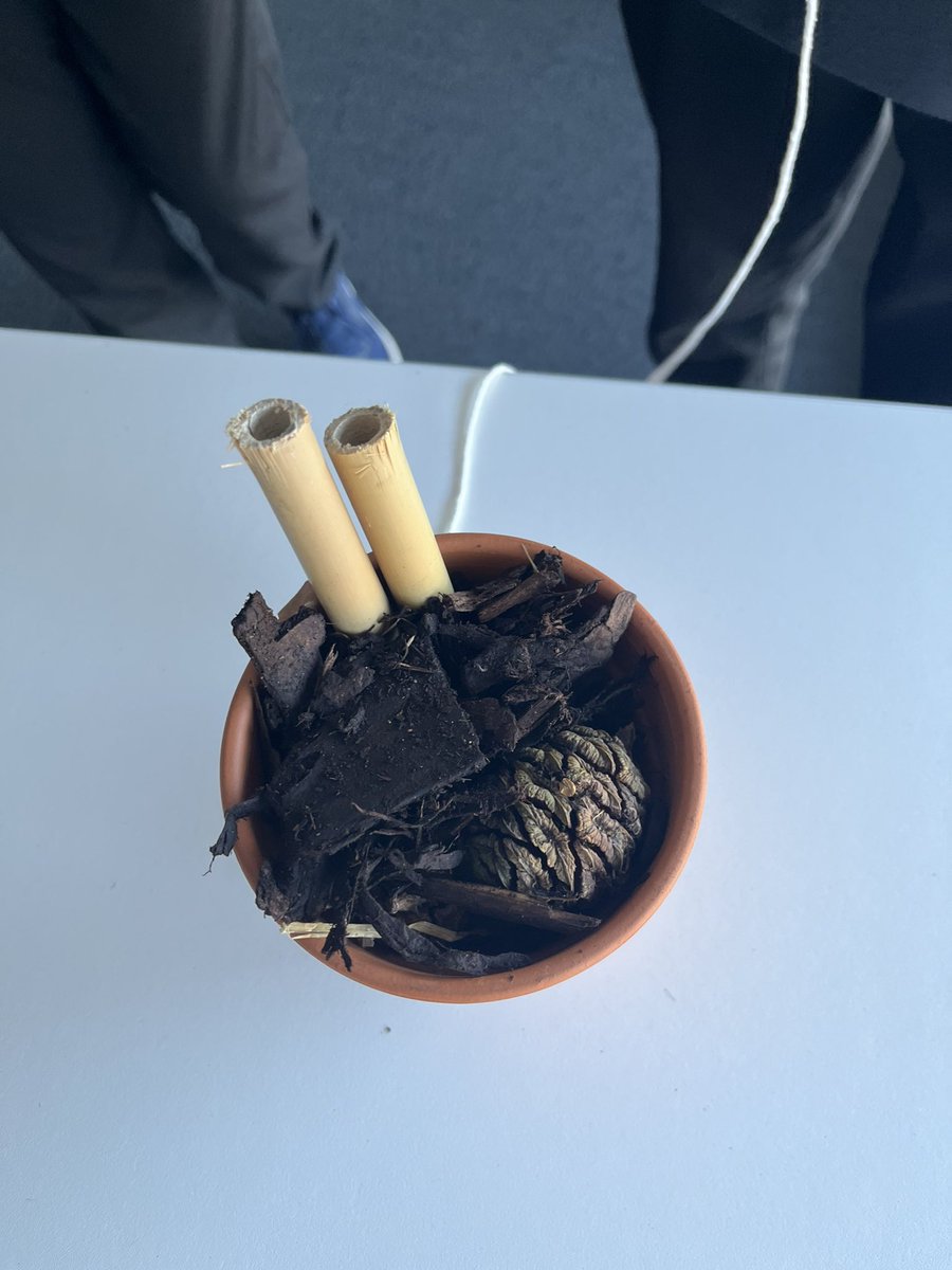 WCHS Science tweet media