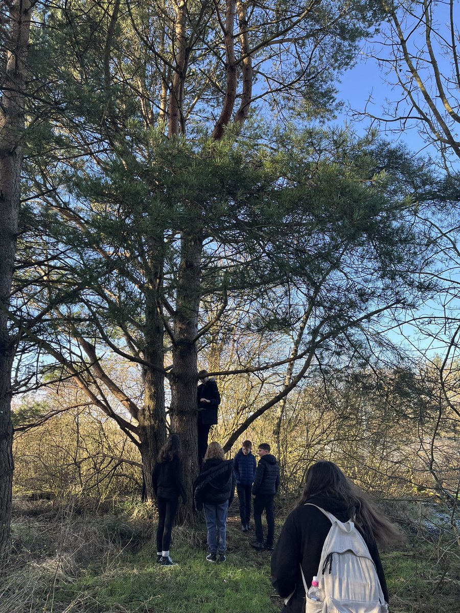 WCHS Science tweet media