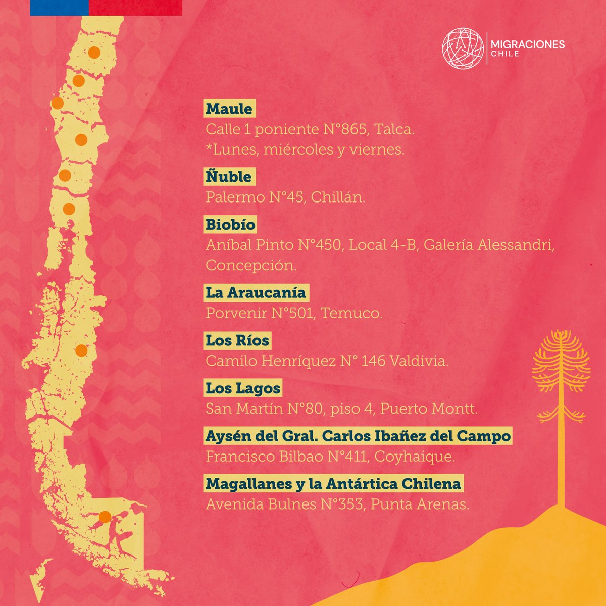 Migraciones Chile tweet media