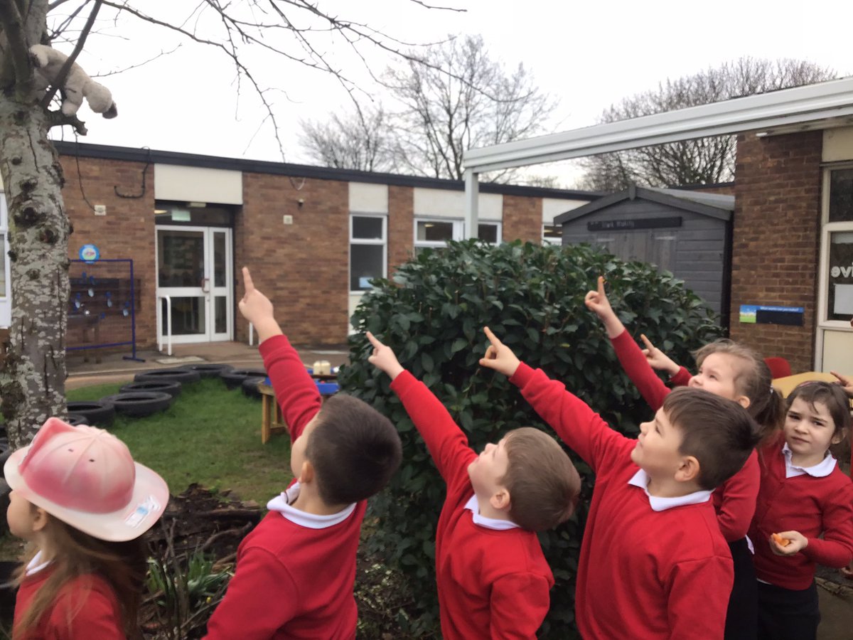 Highlees's tweet image. Disaster! Emergency!
Daisy and Dexter managed to get themselves stuck in the tree. #EYFS had to come up with a plan to rescue them. We all made a design and then used a range of materials to build them. Thankfully they worked and everyone is safe and sound #designandtechnology