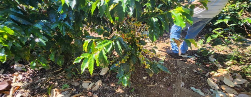 BusquemosCasa's tweet photo. Finca en venta
    País: Costa Rica
    Precio: $268,872
    Información de contacto aquí:
    https://t.co/VoSJG86UxM
    #costarica #fincas #ventas #naranjo #cantónnaranjo #alajuela #costarica #propiedades #bienesraices #busquemoscasa https://t.co/UDiRYv43wQ