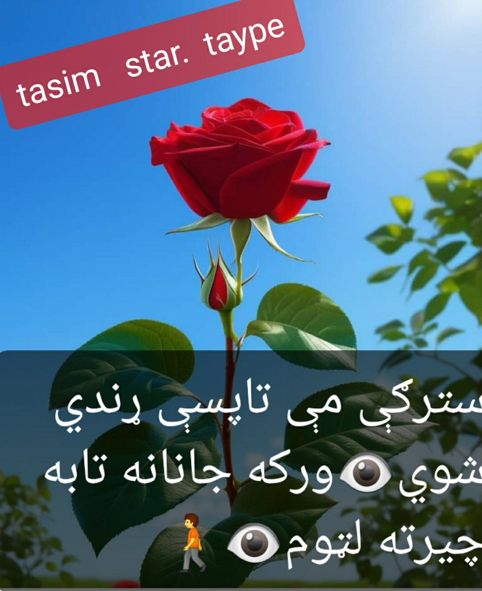 STAR_3113's tweet photo. @Afghani_girl_16 @AfghanMivz @Ahmed653278 @allmas20765690 @Dr__Malikooo @dralisha3031 @garanafghani https://t.co/wICpK5x94U