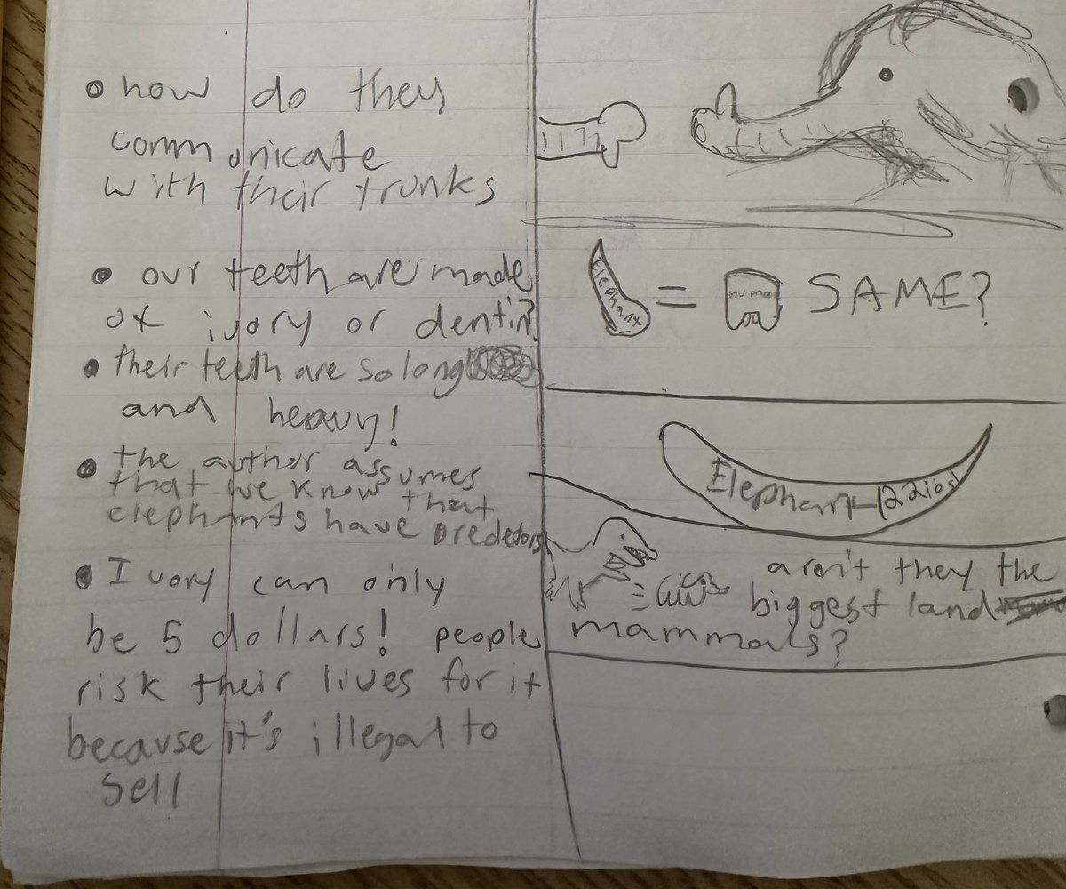 Priscilla Stephan tweet media