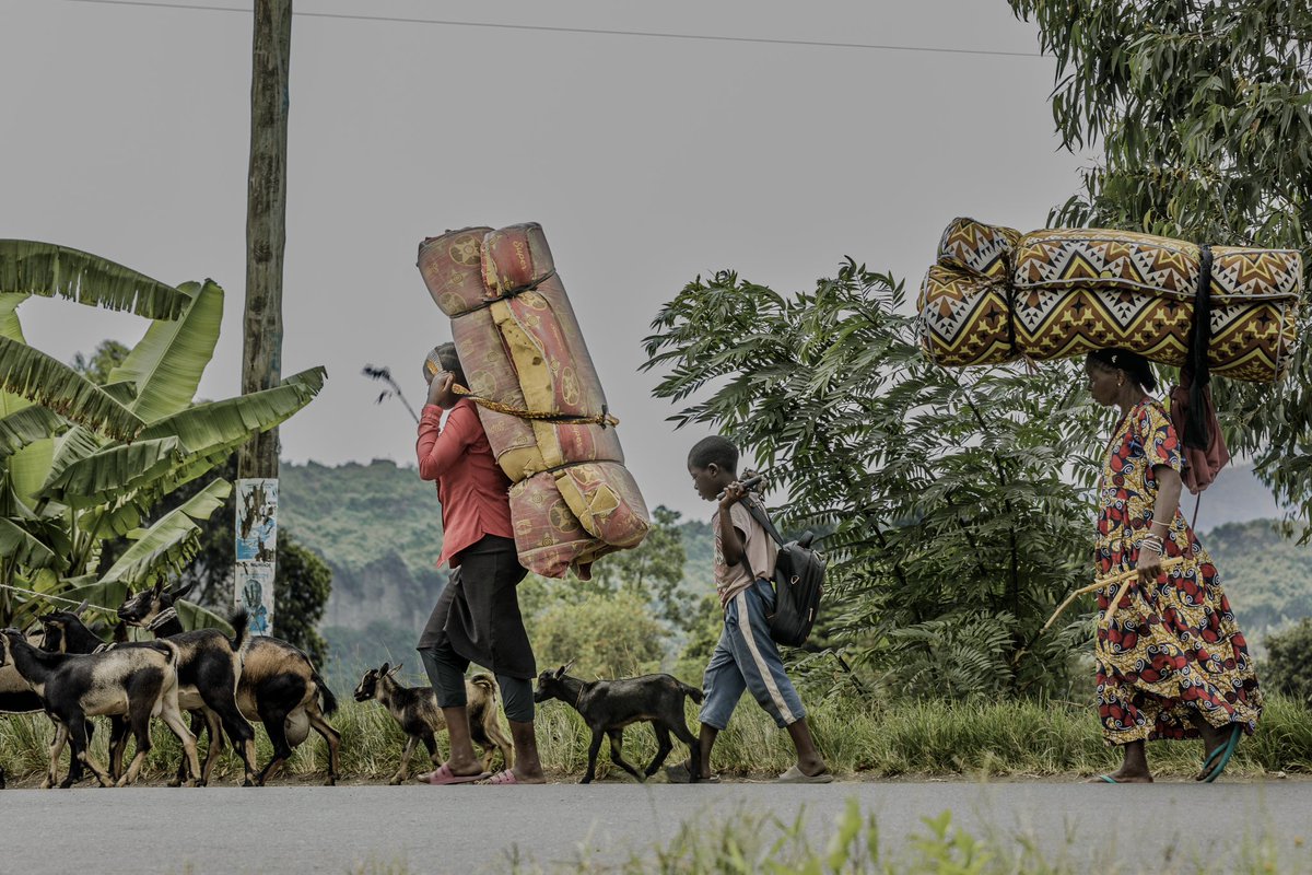 LTAImages's tweet photo. Situation sécuritaire à #Goma : une deuxième #bombe s’abat sur le quartier #Mugunga, la population dans la peur.

📸: @LTAImages https://t.co/N4MsSQNvOw