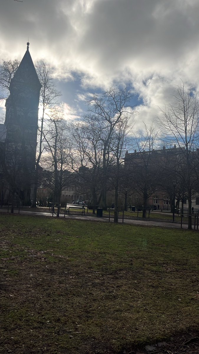 nancy bocken tweet media