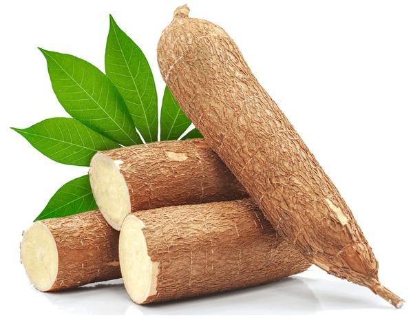 Nig_Farmer's tweet photo. Looking at the value chain of both crops 

Which one of these two crops has the most robust Value Chain

Look at it from the Revenue and Number of chains within the Value line

A. Cassava

B. Maize 

Let's hear it... https://t.co/TTnRT7txYb