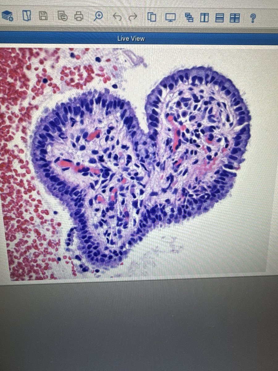 Jenny Bennett, MD tweet media