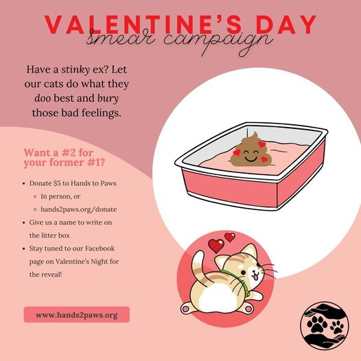 tclifford03's tweet photo. Hi @LouDPhillips #TheFOLD and all of #CatsOfTwitter #catlovers it would be so amazing if any of you would retweet this (no pressure). THANKS IN ADVANCE!!! #HandstoPaws #Augusta #Georgia #fosteringsaveslives #ValentinesDay #adoptions https://t.co/5yshJUEeWx