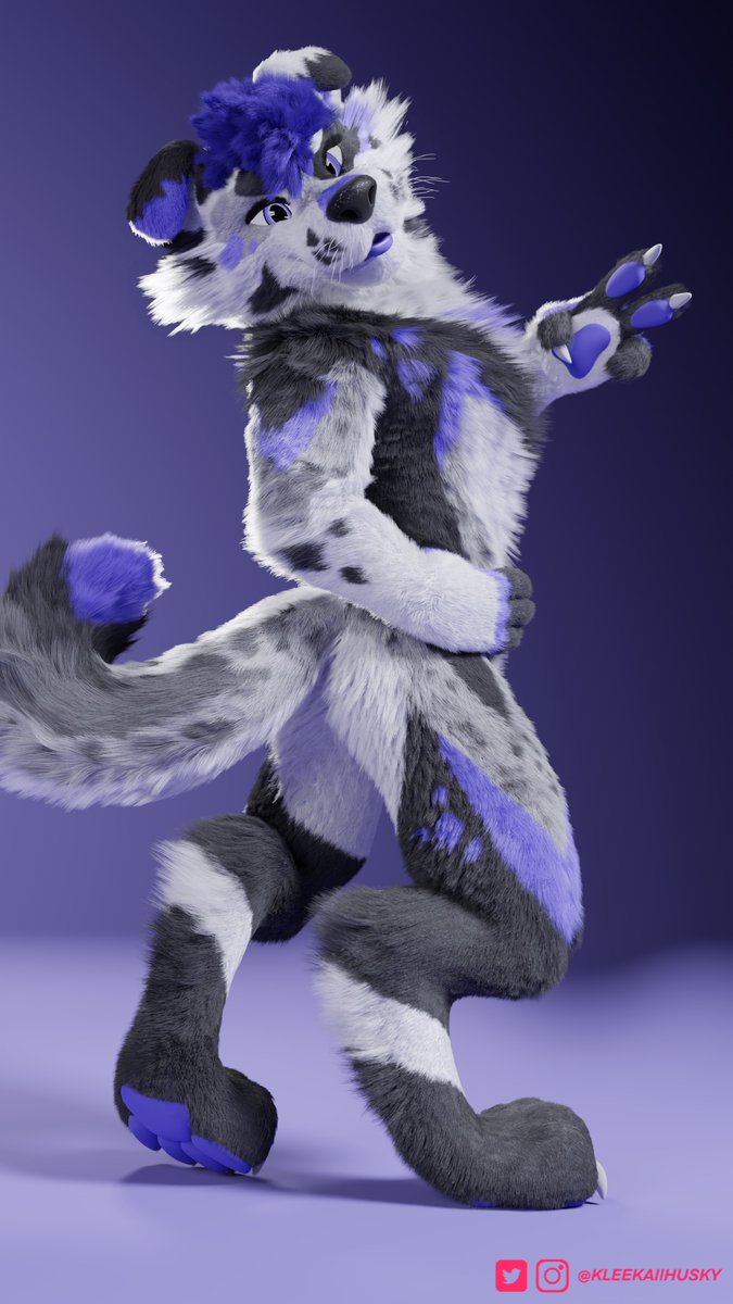 kleekaiihusky's tweet photo. Fluffy 3D floppy eared dog!

🐶 : @gabethecollie https://t.co/VjLmMuaf6H