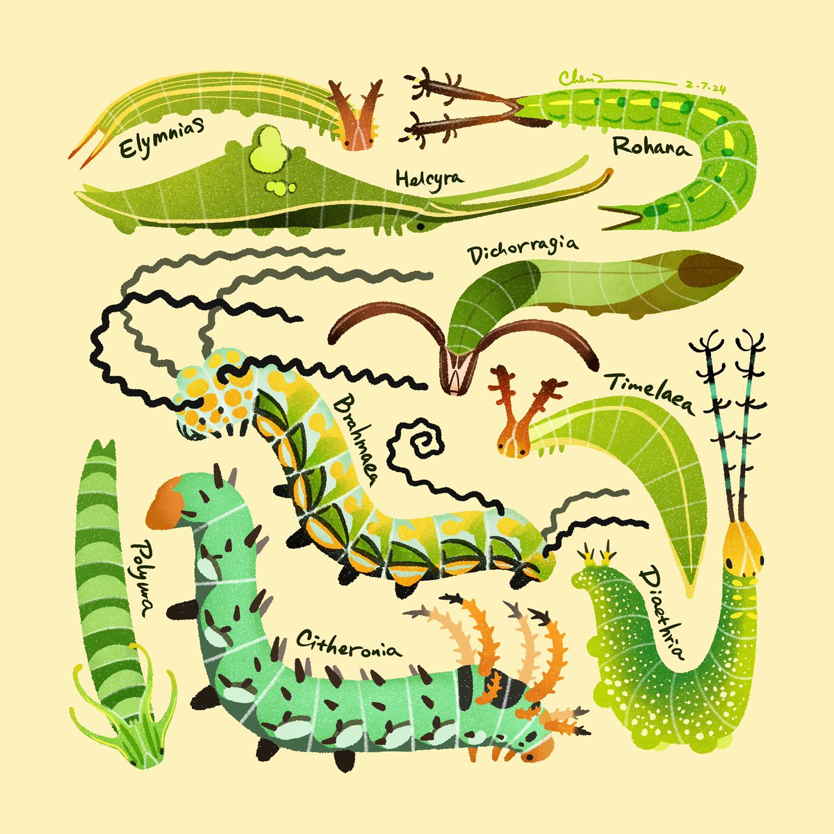 POV for the year of dragon: caterpillars are invertebrate dragons 🐉 🐛 maybe we can call them dragonpillars