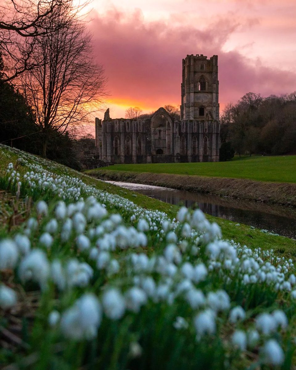 Surrounded by swathes of snowdrops, @FountainsAbbey looks particularly magical at sunset.

Photo: Tatiana Hepplewhite

#NationalSnowdropDay