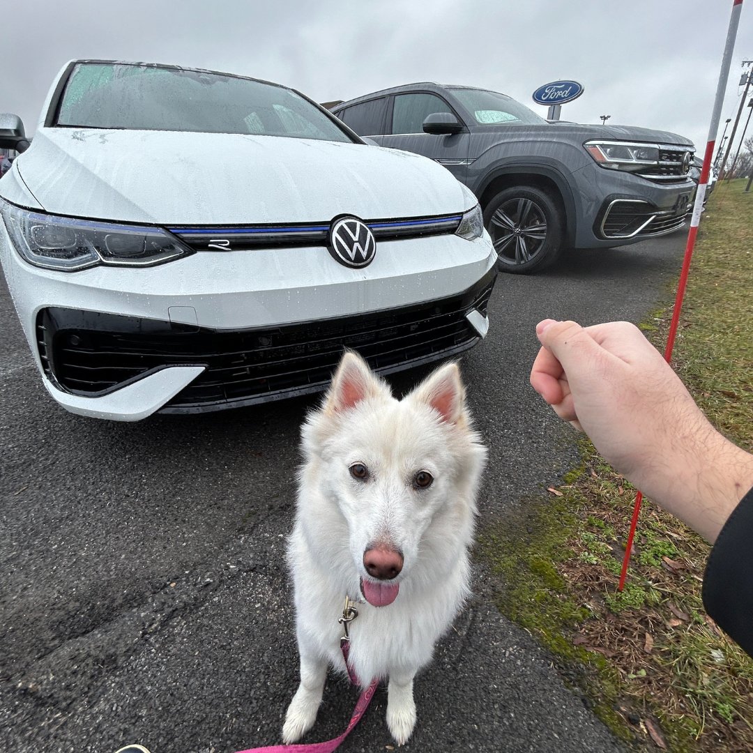 Romano Volkswagen tweet media