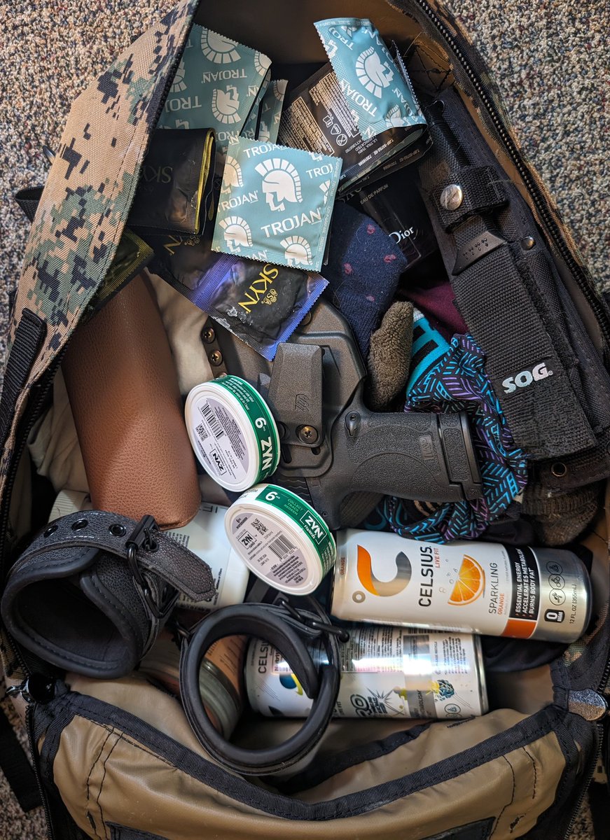 packing for a business trip so I'm only bringing the essentials