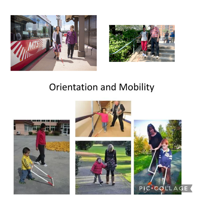 BHN Special Education tweet media