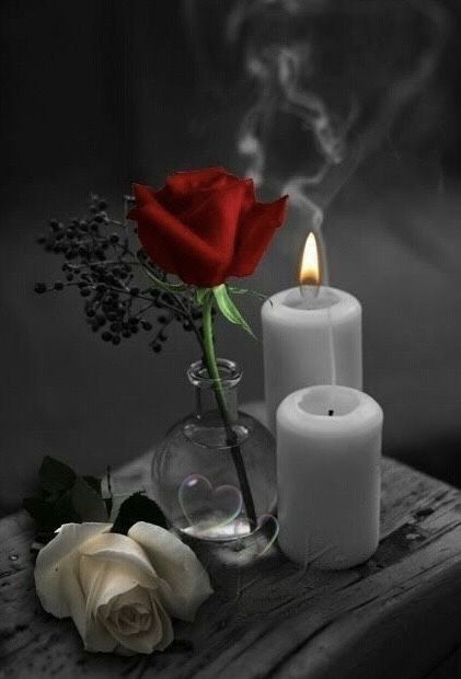 AŞK💕BEYİ💕SERKAN tweet media