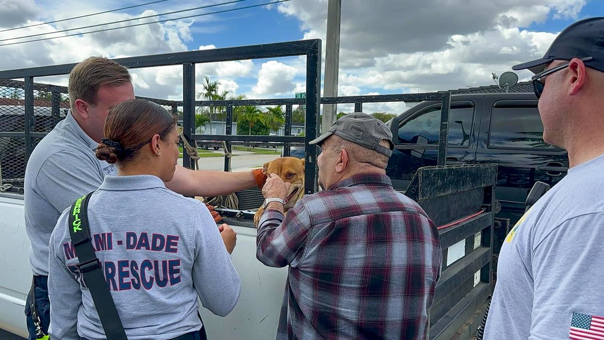 MiamiDadeFire's tweet image. This afternoon #InBetweenCalls, #Engine3 and @MDFRChief assisted a gentleman whose dog had escaped. #MDFR Engine 3 crew and Chief Jadallah were able to safely catch the dog, preventing it from being hit by a car on a busy roadway. A happy tail with a very pawsitive outcome!