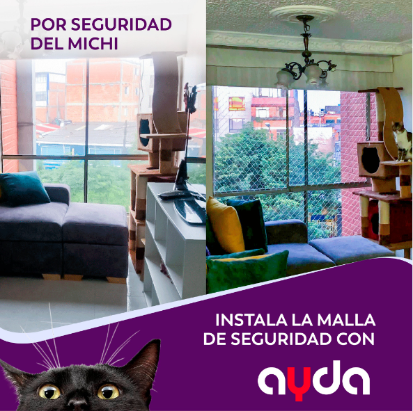AydaColombia's tweet photo. Protege a tus gatos con mallas profesionales de AYDA. Contáctanos hoy para asesoramiento personalizado. 🐾🏠 #SeguridadParaGatos #InstalaciónProfesional #AYDATuManoDerecha.

Contáctanos📲 https://t.co/MOt5C1cWPl https://t.co/2AK2algHzU