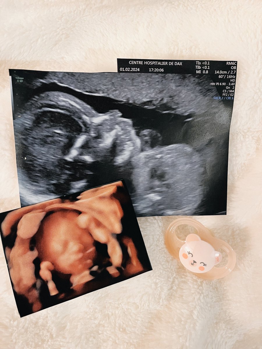 Lriaa SHFT tweet media