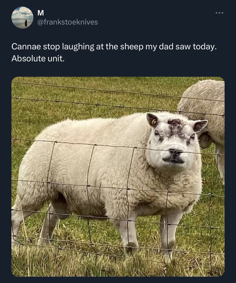 No Context Brits tweet media