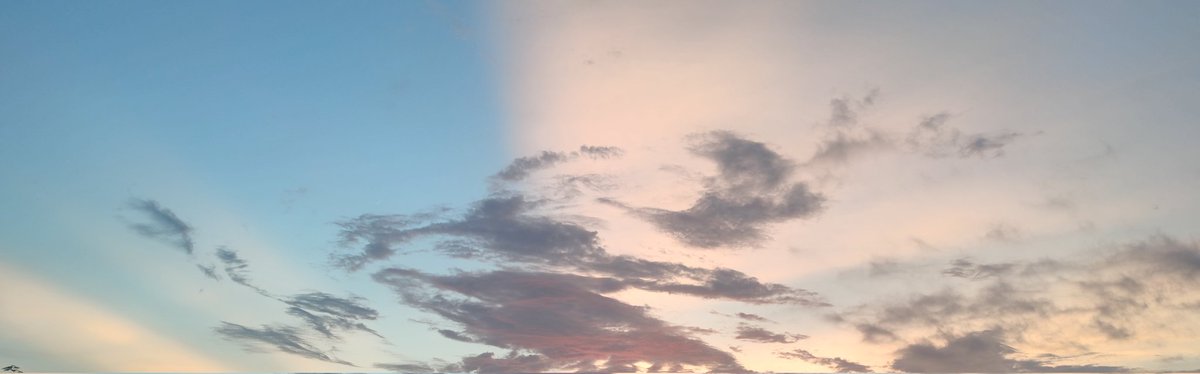 zhoumo (@zhoumo576725) on Twitter photo 