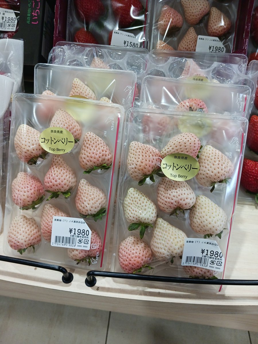 373nomegumi's tweet photo. おはようございます😆
今日は初入荷のいちごちゃん🍓
をご紹介✨
奈良県産『コットンベリー』
桜色をしたいちご🍓
春を感じますね☺️
他にもいちごちゃん達が揃ってます。
#旬いちご
#新鮮野菜
#地場産野菜 https://t.co/grvkuumrfd