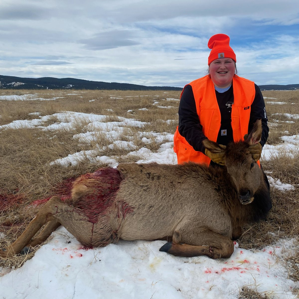 AO1 Foundation tweet media