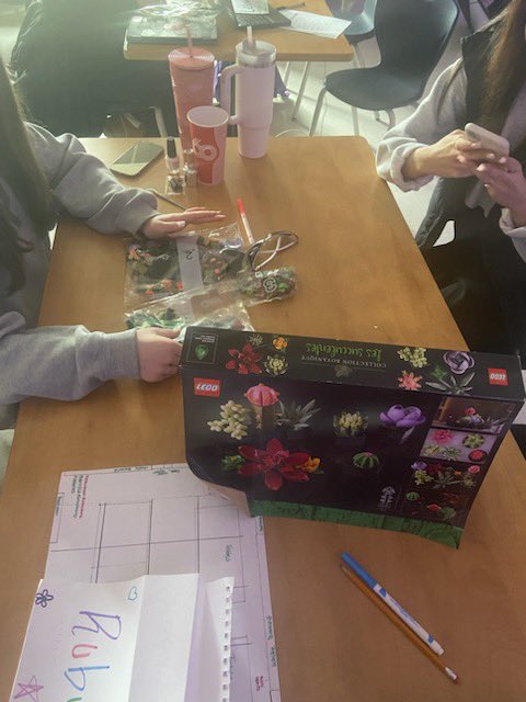 Using procedures and graphic texts with Lego in PAE