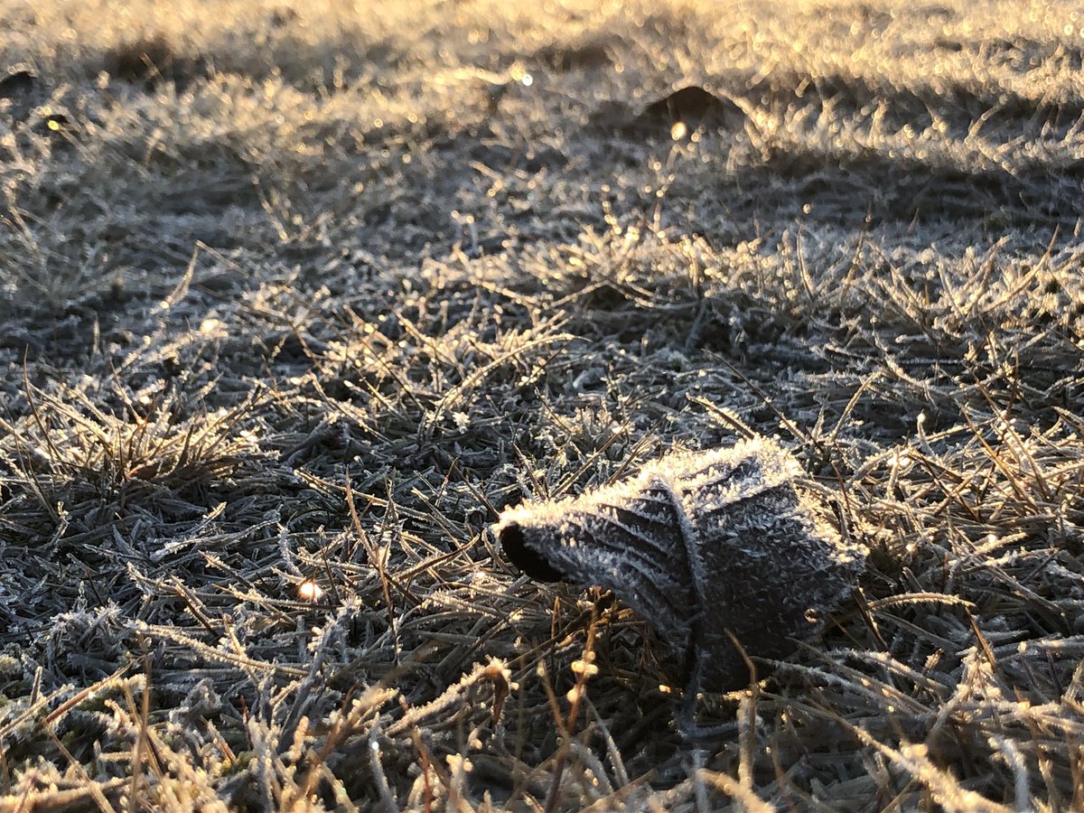 Our last beam time at SPring-8 in this fiscal year (and also the last for my master’s course😭) has finished with freezing cold morning. It’s time to sit down and wrap everything up to papers/thesis!