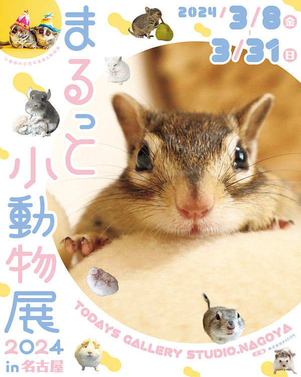 ハムスターやリス、ハリネズミなど小動物が主役の展覧会「まるっと小動物展 2024」を2024年3月8日(金)～3月31日(日)に名古屋ギャラリーにて開催します。小動物はもちろん、ハムスターのドームハウスまで、まさに“まるっと小動物”の世界をお楽しみいただけます!

公式サイト
tgs.jp.net/event/maruttok…