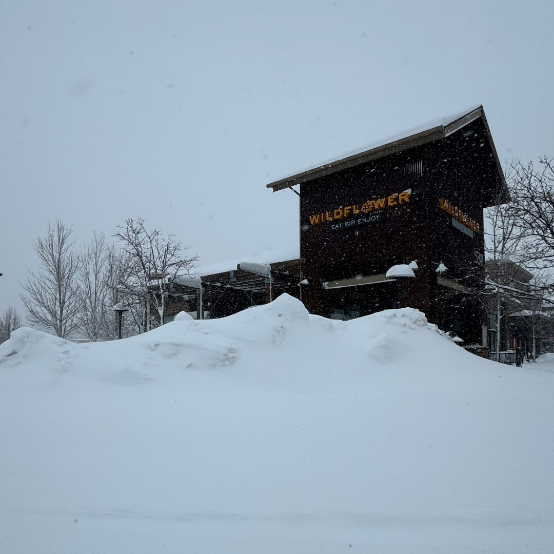 WildflowerBread's tweet image. Wildflower Flagstaff - CLOSED for the rest of today, 02/08.❄️

Here are some pictures of the winter wonderland at Wildflower Flagstaff!⛄

Hours will proceed as normal tomorrow (8AM-8PM). We will see you tomorrow for a warm bowl of soup! 😋🏔️