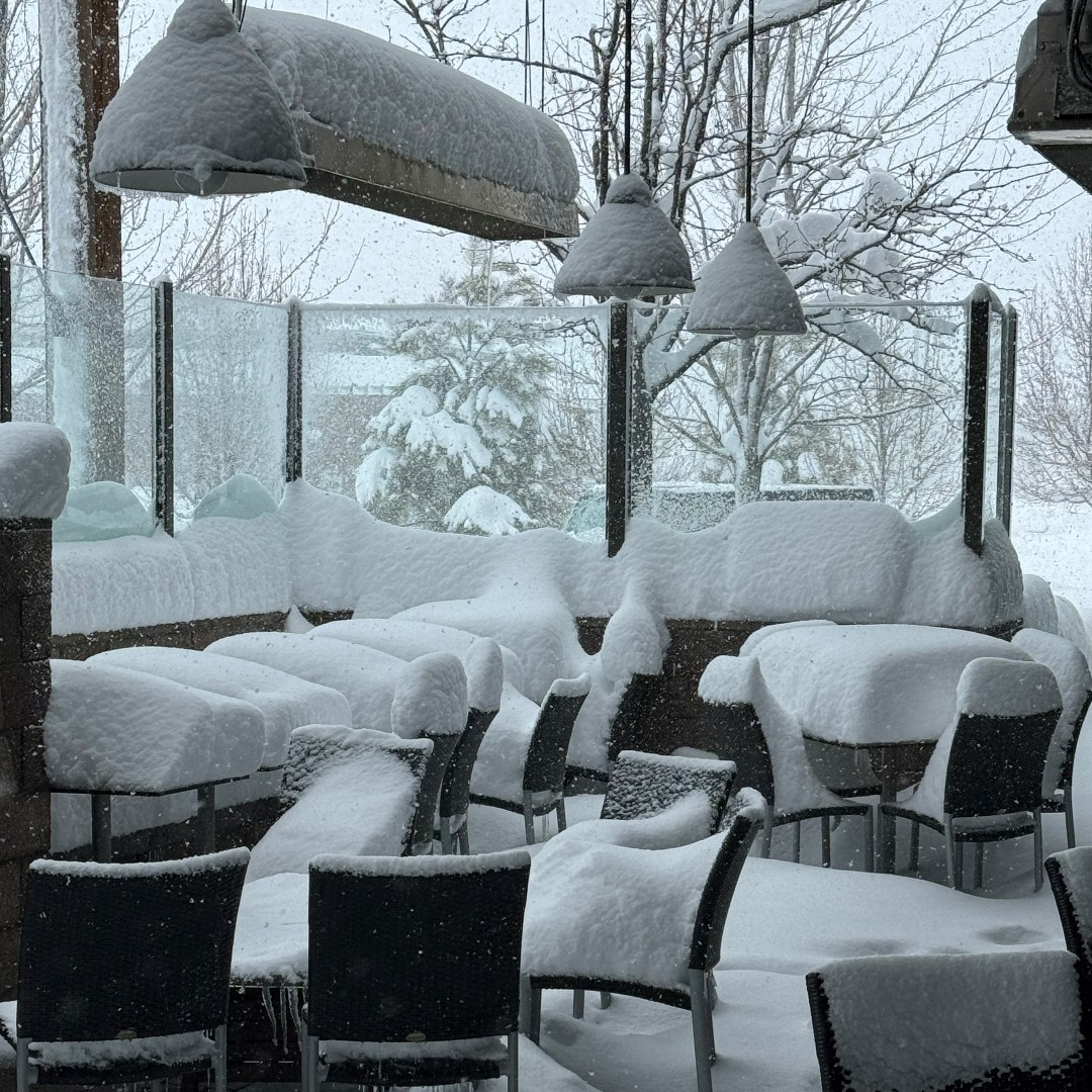 WildflowerBread's tweet image. Wildflower Flagstaff - CLOSED for the rest of today, 02/08.❄️

Here are some pictures of the winter wonderland at Wildflower Flagstaff!⛄

Hours will proceed as normal tomorrow (8AM-8PM). We will see you tomorrow for a warm bowl of soup! 😋🏔️