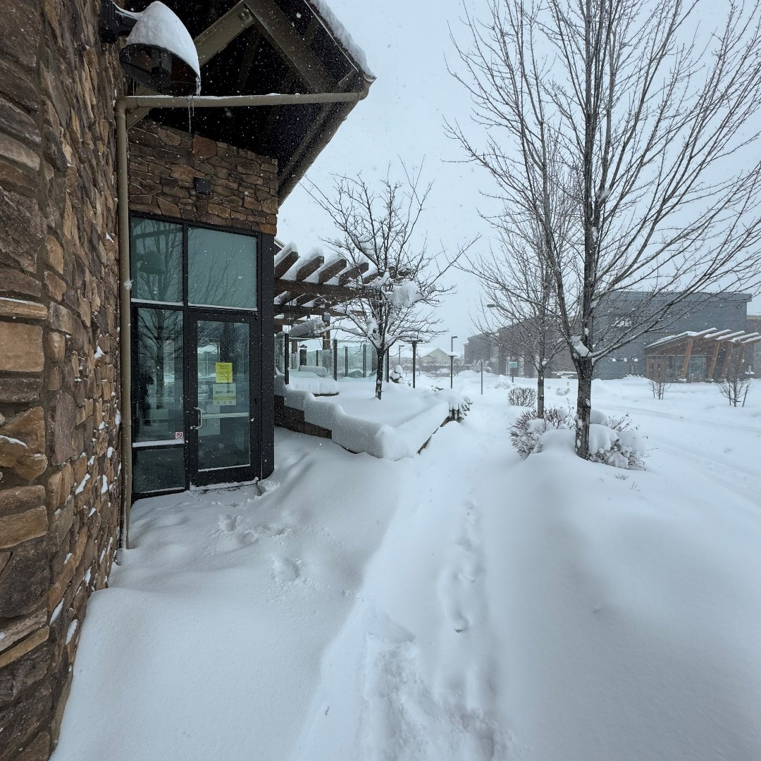 WildflowerBread's tweet image. Wildflower Flagstaff - CLOSED for the rest of today, 02/08.❄️

Here are some pictures of the winter wonderland at Wildflower Flagstaff!⛄

Hours will proceed as normal tomorrow (8AM-8PM). We will see you tomorrow for a warm bowl of soup! 😋🏔️