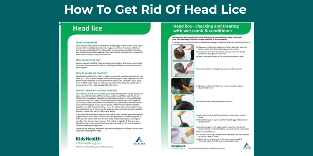 KidsHealth NZ tweet media