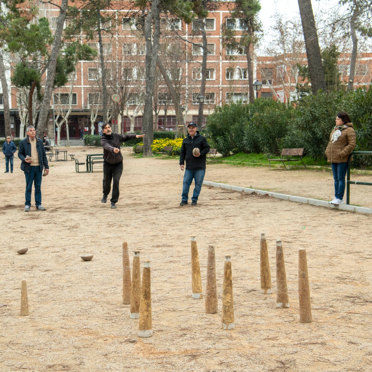 DecideMadrid's tweet photo. ❓ ¿No encuentras sitio donde jugar al aire libre al:
🎳 Bolo leonés
⚾️ Petanca?
😯Mira las 5 pistas que ha remodelado @jmdciudadlineal en #ParqueCalero, un proyecto de #PresupuestosParticipativos.
https://t.co/c0lAlqQf5P
🚧 Cierre perimetral
🪜 Barandillas
🌾 muro vegetal https://t.co/5XrbW79wQf