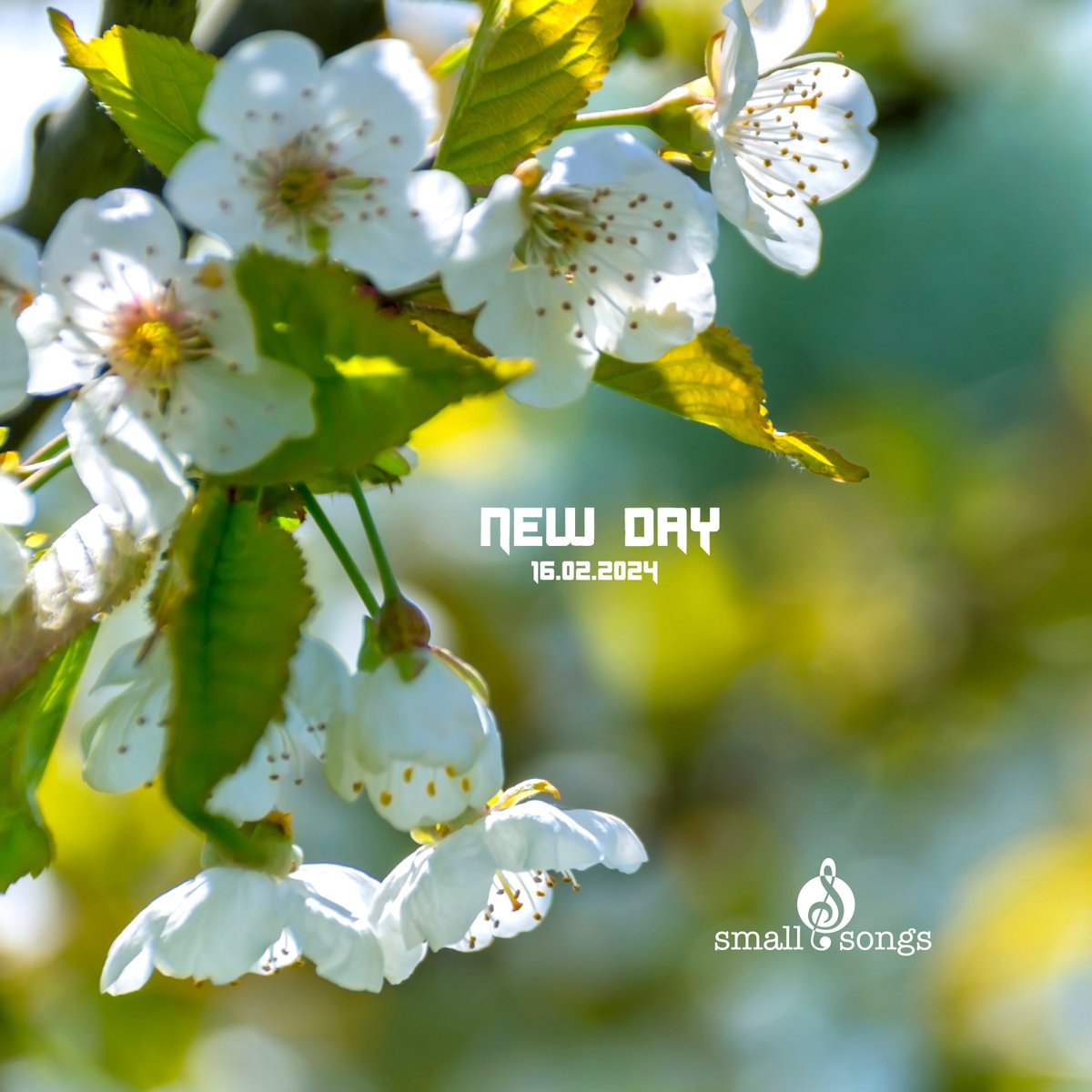 New Day is entering the music world on 16.02.2024 #easylisteningmusic #smallsongs #ambientmusic