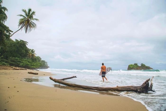 scholartrip's tweet photo. The year might have just started but we’re already getting the itch to travel! Get your planners and bucket list ready because it’s time for spring break planning. 

But why Costa Rica Spring Break? 

https://t.co/pnwJci6vDw

#travel #budgettravel #studentdiscount #scholartrip https://t.co/IXKXCfDvJG