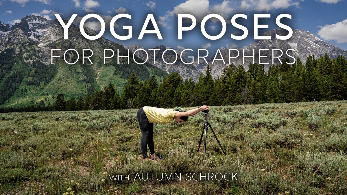 Between lugging camera gear and crouching at a computer, our bodies as photographers can get very sore. Get ready to stretch it out with @Autpops! You’ll learn some easy-to-do yoga poses your neck and back will thank you for ⬇️ bit.ly/3uosgEI
