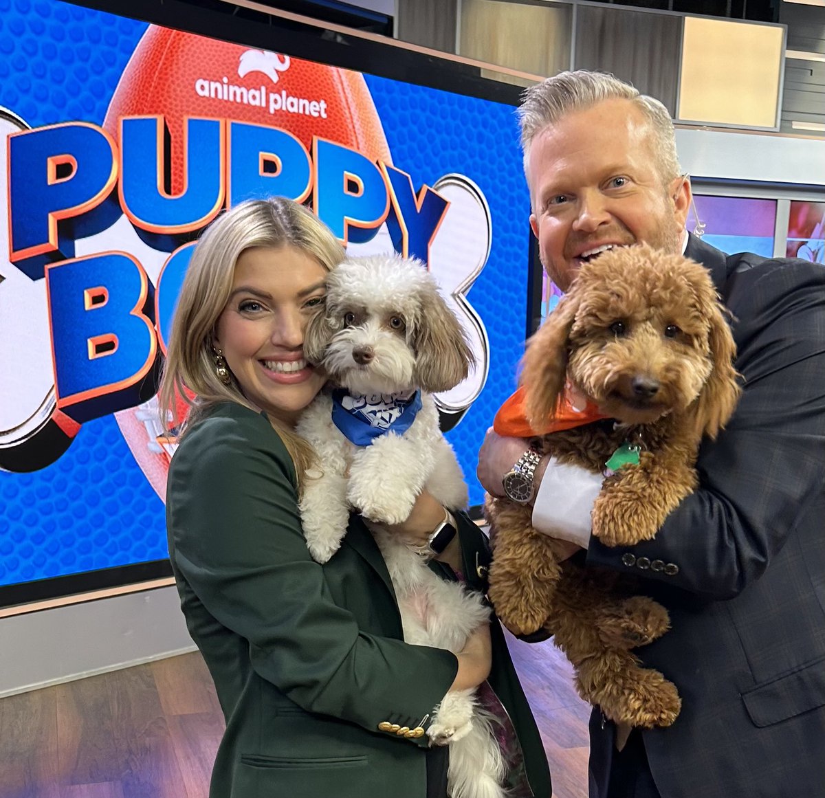 These two stole our hearts! So wonderful to meet Gertie and Good Girl! 🐶Two rescue pups from @PawsAcrossPgh who are representing Pittsburgh in this Sunday’s Puppy Bowl on Animal Planet. #puppybowl #puppylove #rescues @PGHTodayLive @KDKA