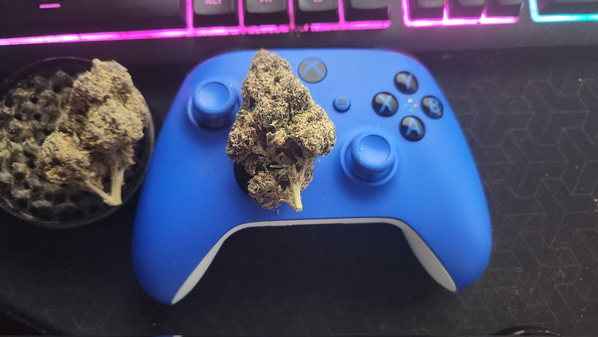For all non-stoners this is what one weed looks like (Xbox controller for reference)