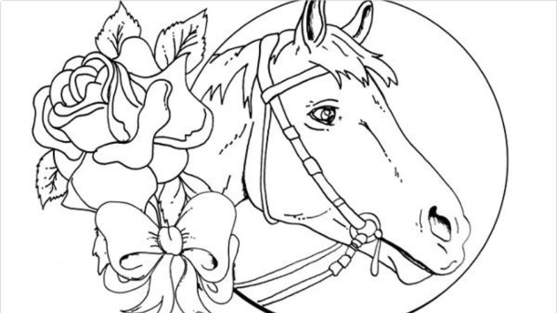 If you're looking for a fun activity for your family, print and color this page and have some creative time with your kids. #WeLoveHorses 💖

bit.ly/2VMS3Qj 

#GreenspotFarms #farmanimals #horses #Mentone #Highland #Redlands #Yucaipa