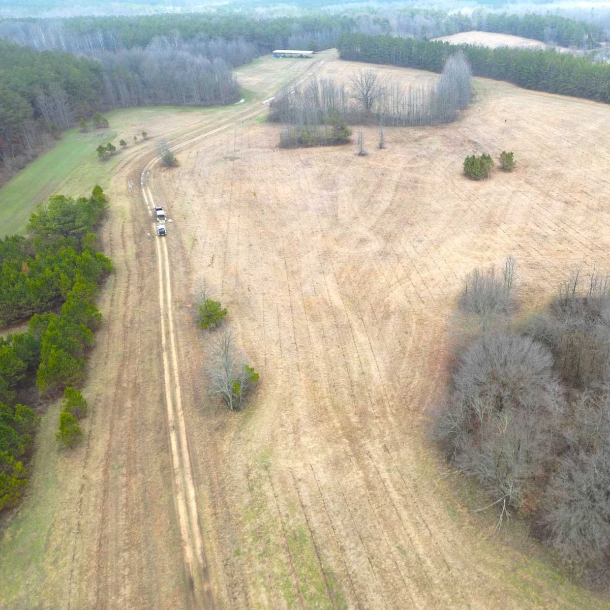 PachamaInc's tweet photo. Amazing news: We’re thrilled to share that approximately 85% of planting is now complete at our Flyway Forest project site. Here’s a sneak peek of the work we're doing with @DucksUnlimited. #Pachama #FieldUpdates https://t.co/Xh8V7PjYJR