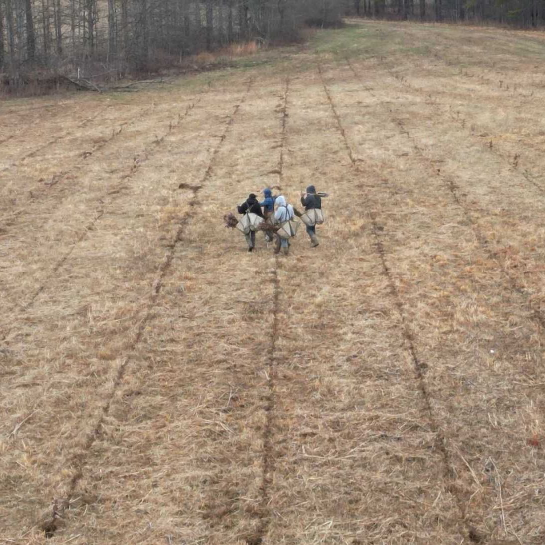 PachamaInc's tweet photo. Amazing news: We’re thrilled to share that approximately 85% of planting is now complete at our Flyway Forest project site. Here’s a sneak peek of the work we're doing with @DucksUnlimited. #Pachama #FieldUpdates https://t.co/Xh8V7PjYJR